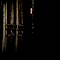 Dark_Monk
